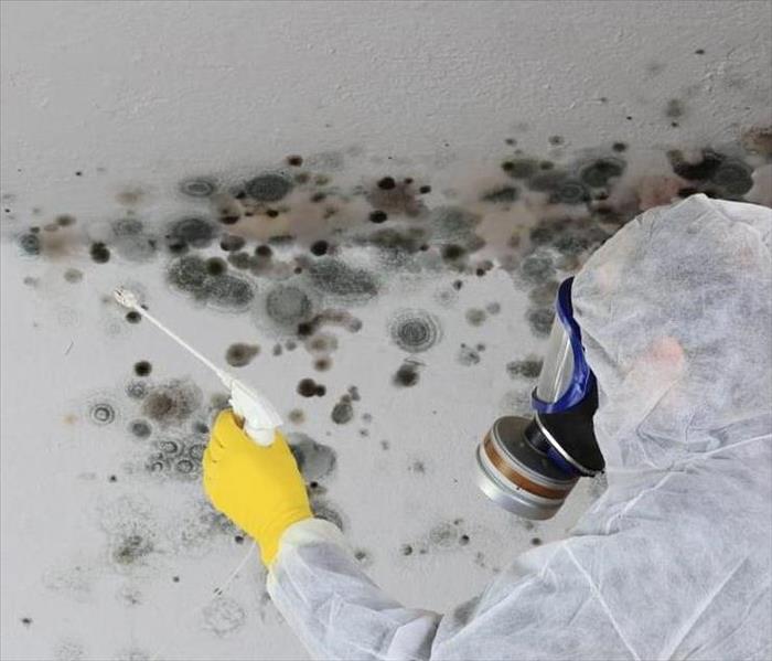 Removing mold from a ceiling in Chaska